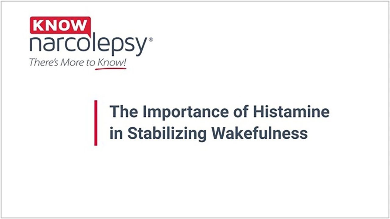 The Importance of Histamine in Stabilizing Wakefulness
