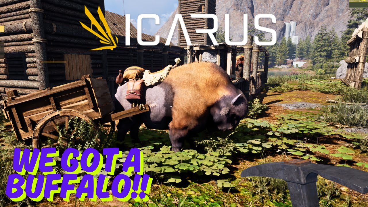 Taming a Buffalo - 🐃 ICARUS: Episode 33 – Meet Buffy the Buffalo! 🐻🎯