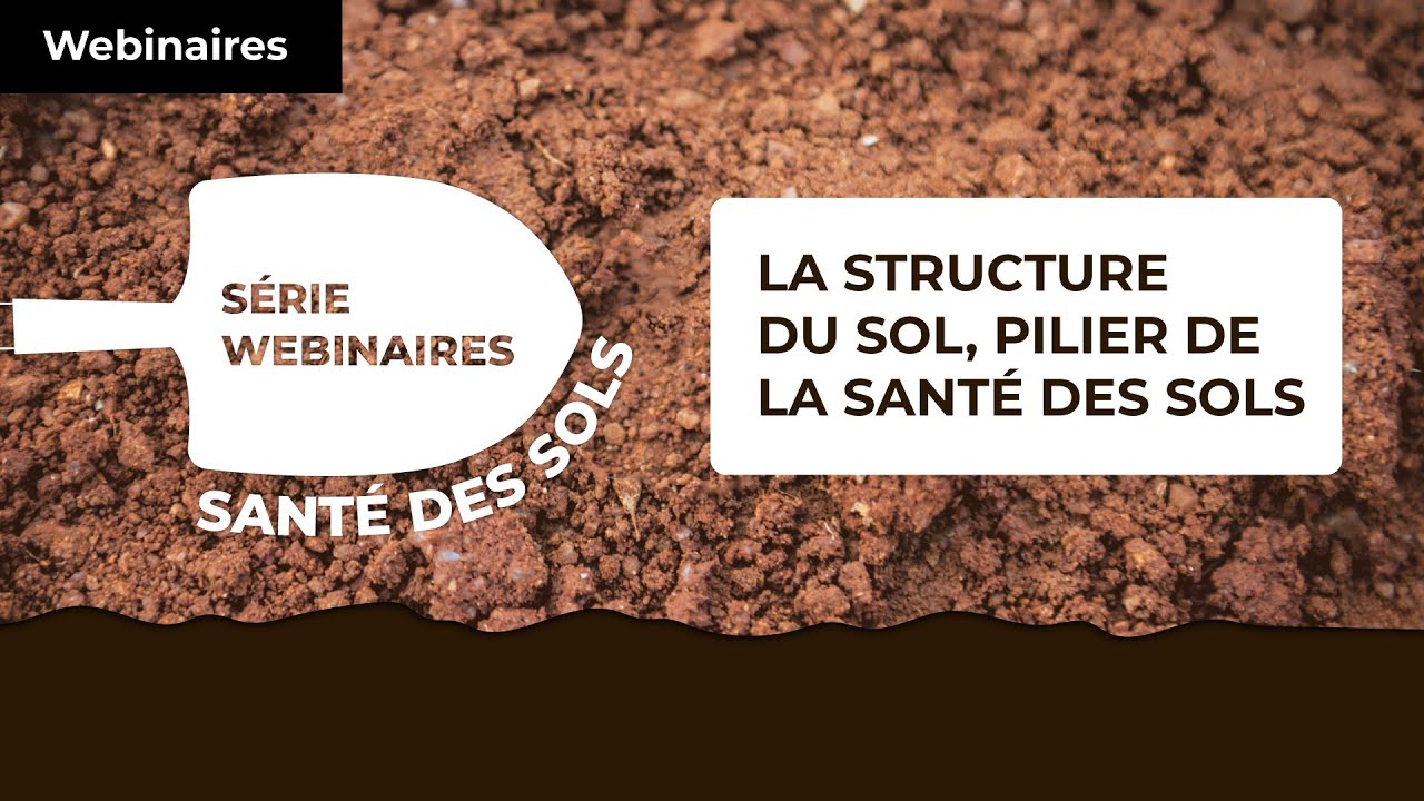 La structure du sol, pilier de la sant&eacute; des sols