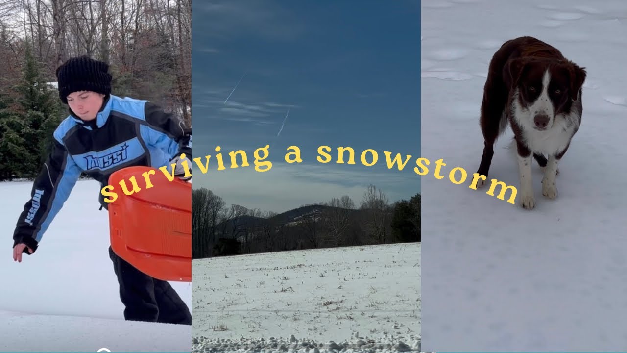 survive a snowstorm with me (sledding, attempting to walk, slipping)
