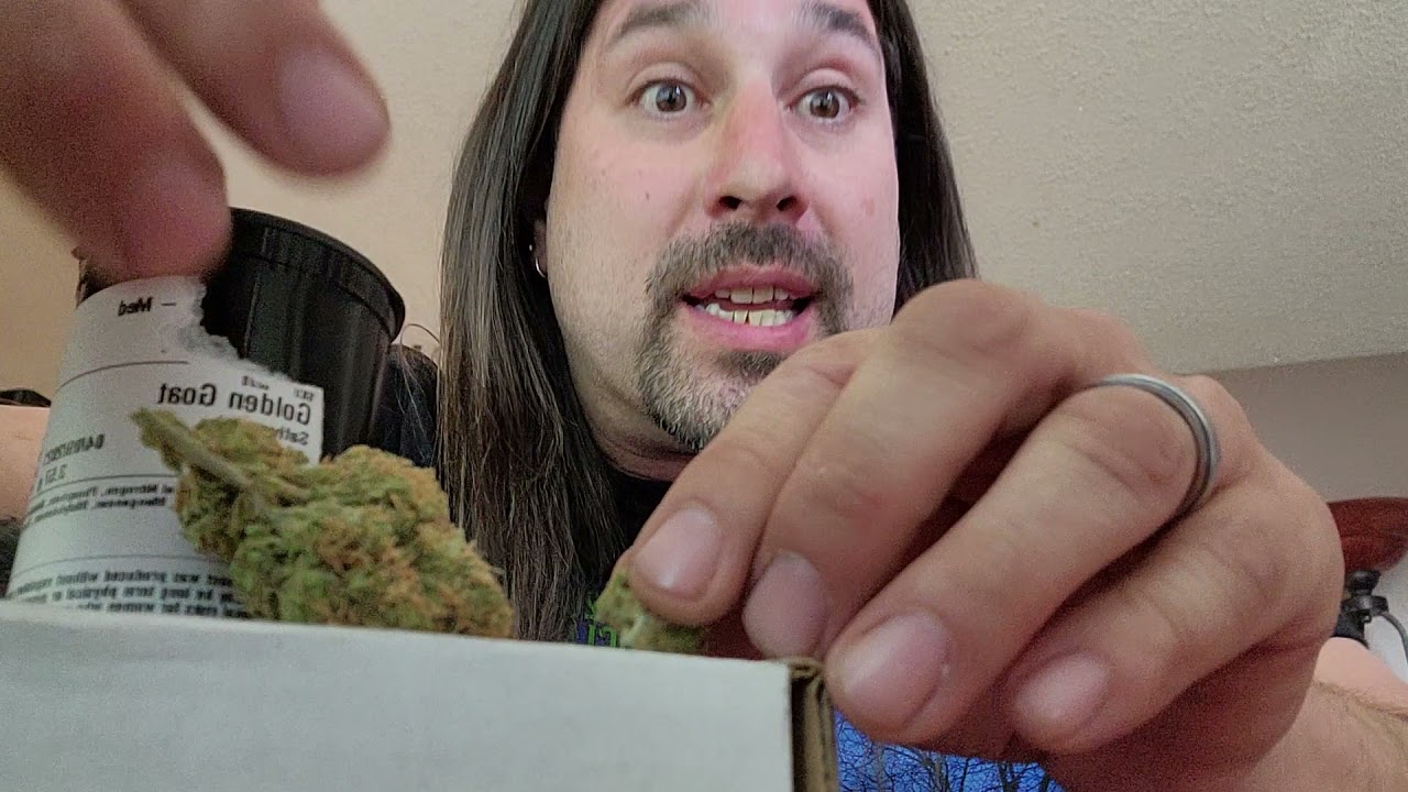 Dan's 420 Chronicles - Golden Goat / Weed Review 4/10/21