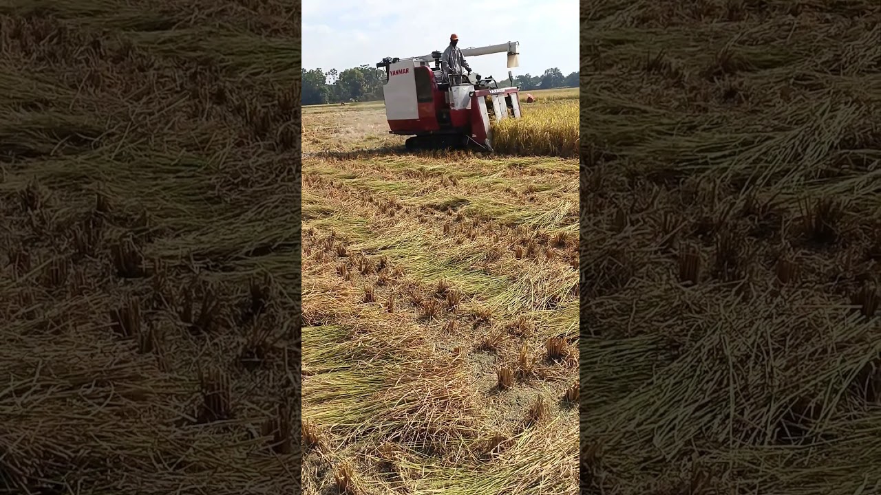 YANMAR AG600A #mdamanbabu #acimotors #shorts #shortvideo