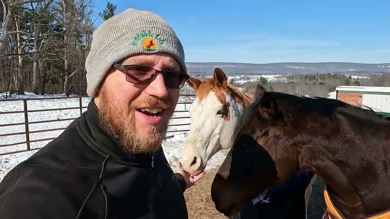 Затишье перед бурей