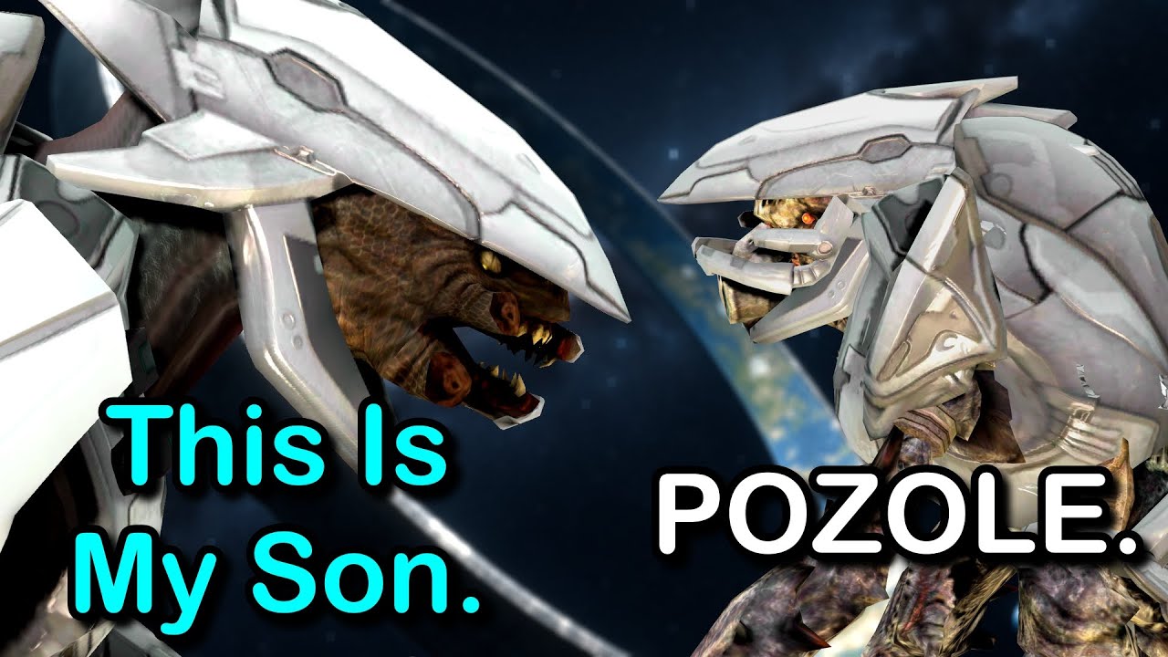 THE SON OF SHIPMASTER