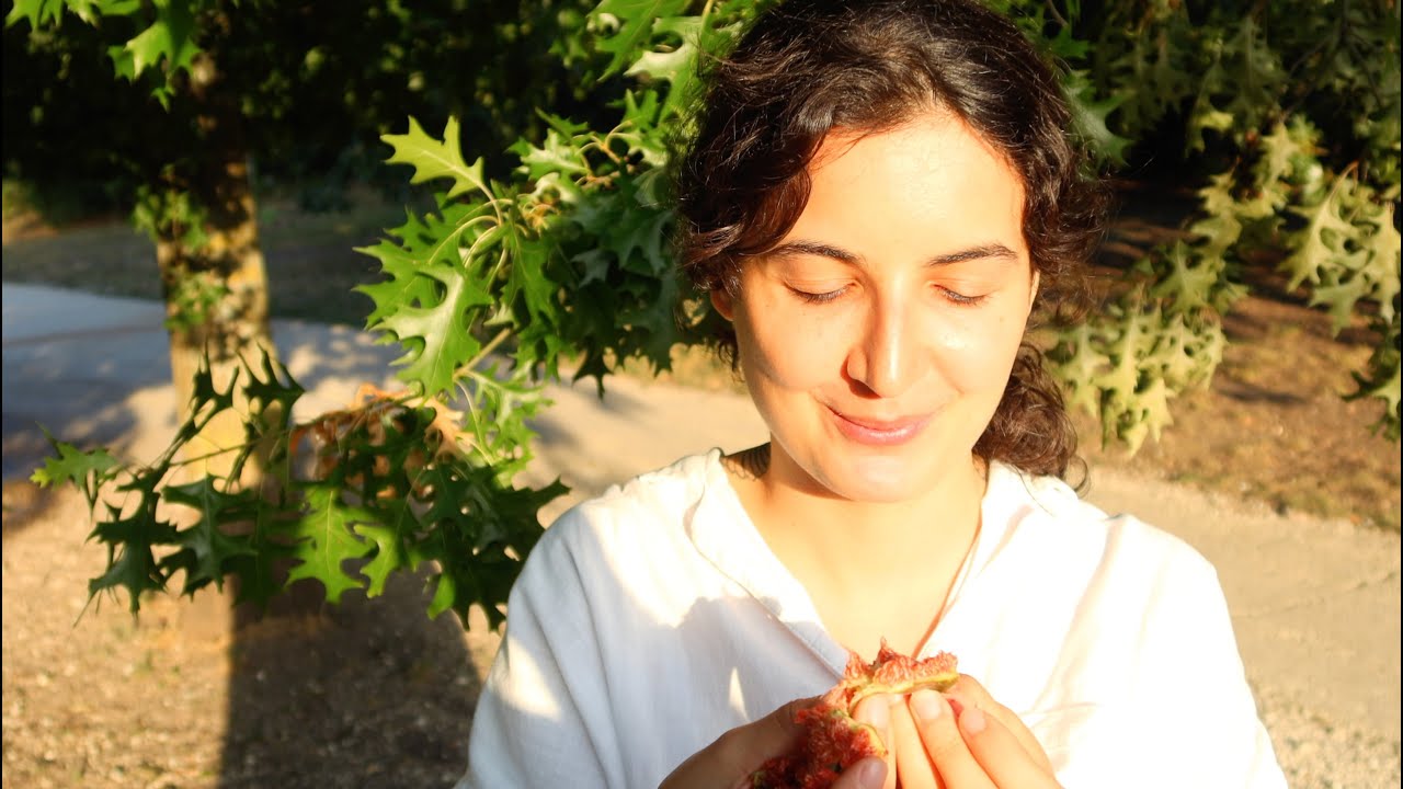 Lâcher prise sur la productivité - Slow-life et non productivité