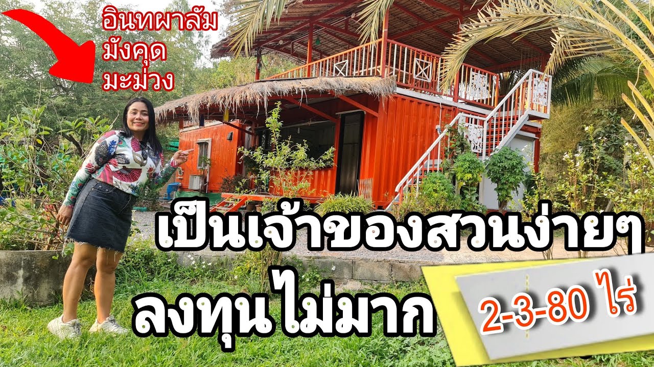 📌ด่วน #มีที่นี่ที่เดียว เป็นเจ้าของสวนง่ายๆ ลงทุนไม่มาก [EP.1349] เนื้อที่ 4 ไร่ #ขายสวนอินทผาลัม