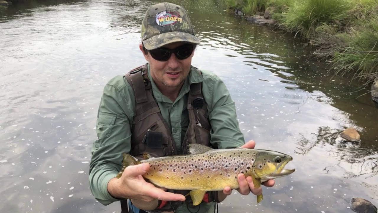 Reekie Lynn Mooi river