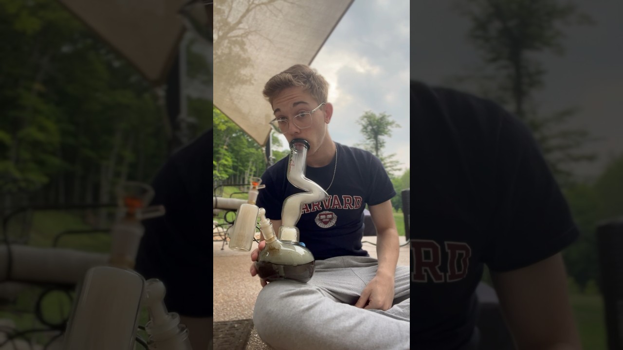 Ash Catcher Review | temu