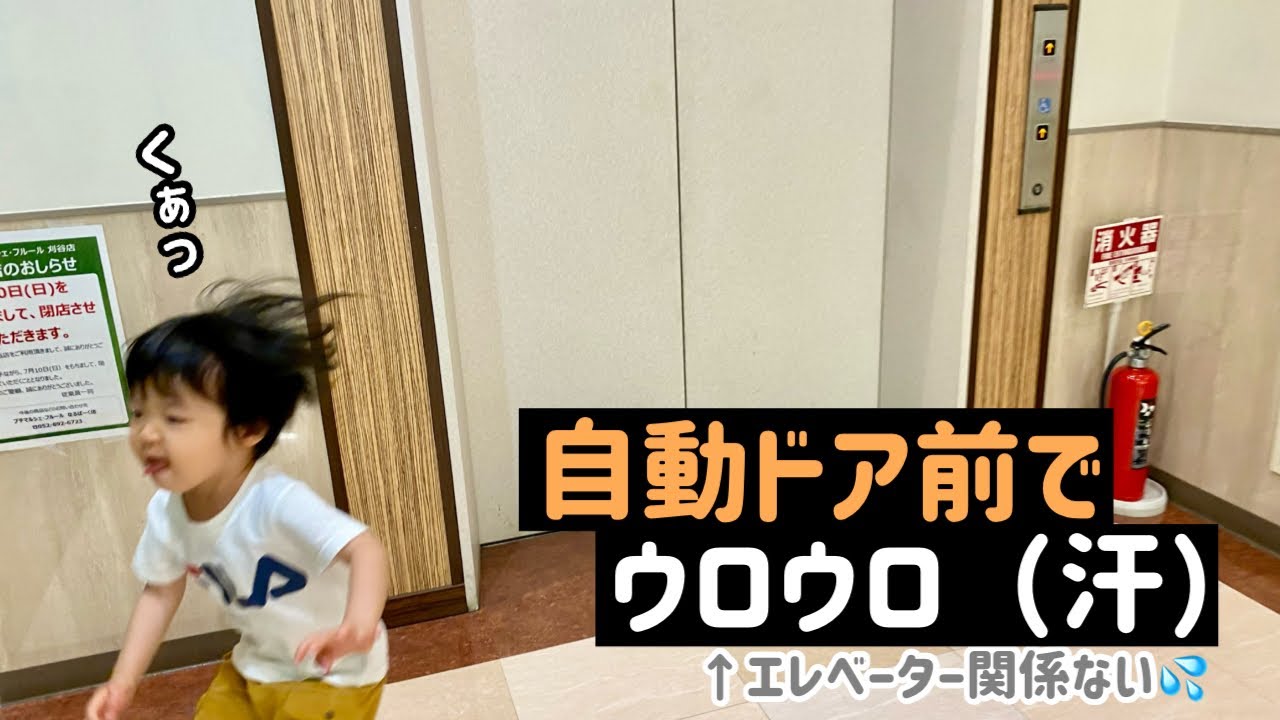【148日目】みなくる刈谷のエレベーター①（東芝製）