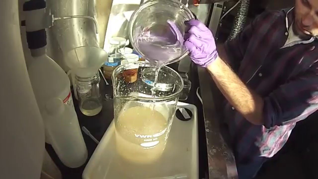 Turning Zooplankton Samples into Data