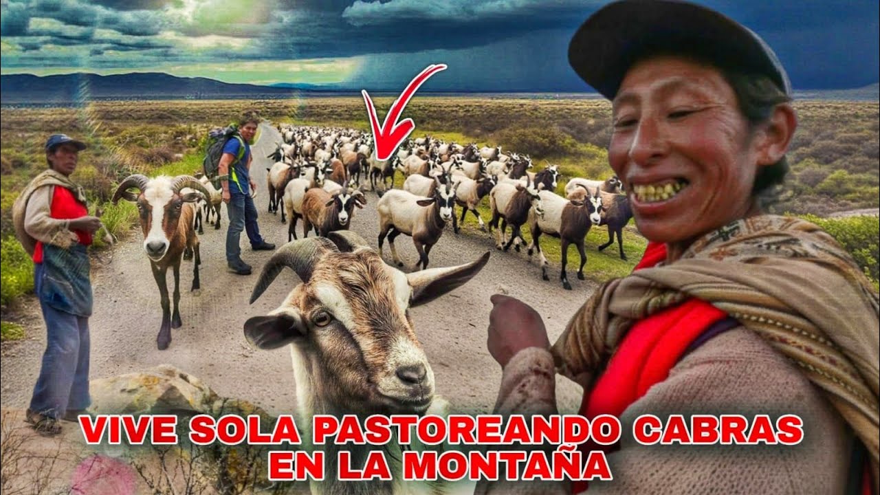 Visité a la mujer que VIVE SOLA en las MONTAÑAS  con sus cabras   Doña Y olanda