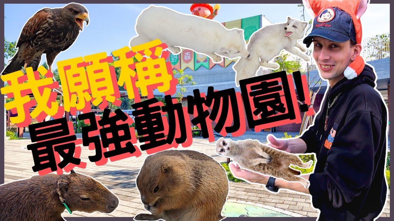 【大開眼界】我去過最好玩的動物學校，還一直打人家動物的主意😂🦊🦅 | The most fun zoo in Taiwan!