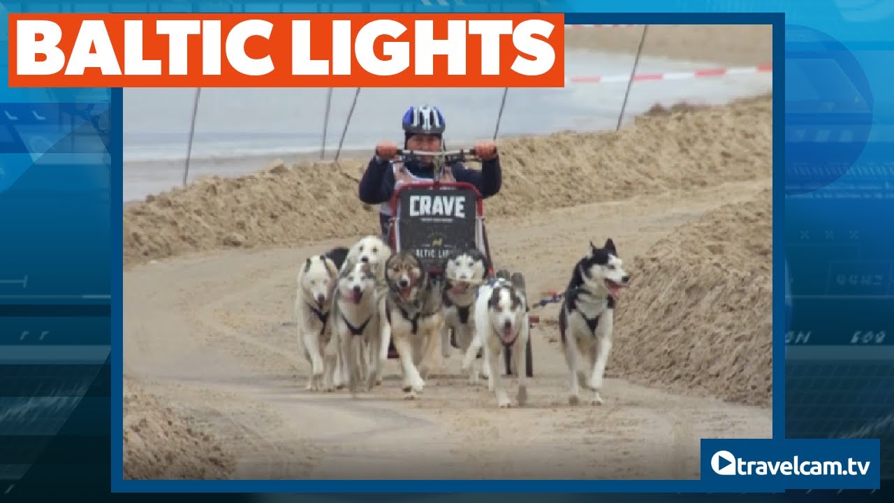 Baltic Lights 2023 | Das legendäre Hundeschlittenrennen auf Usedom