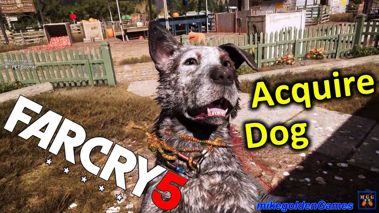 Acquire the Dog Companion (Boomer) | Far Cry 5 Episode 7