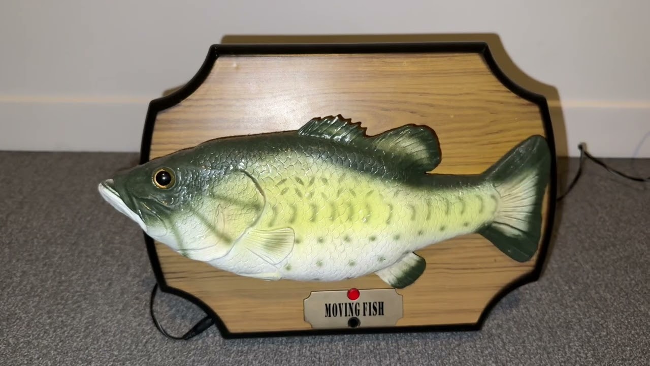 MOVING FISH