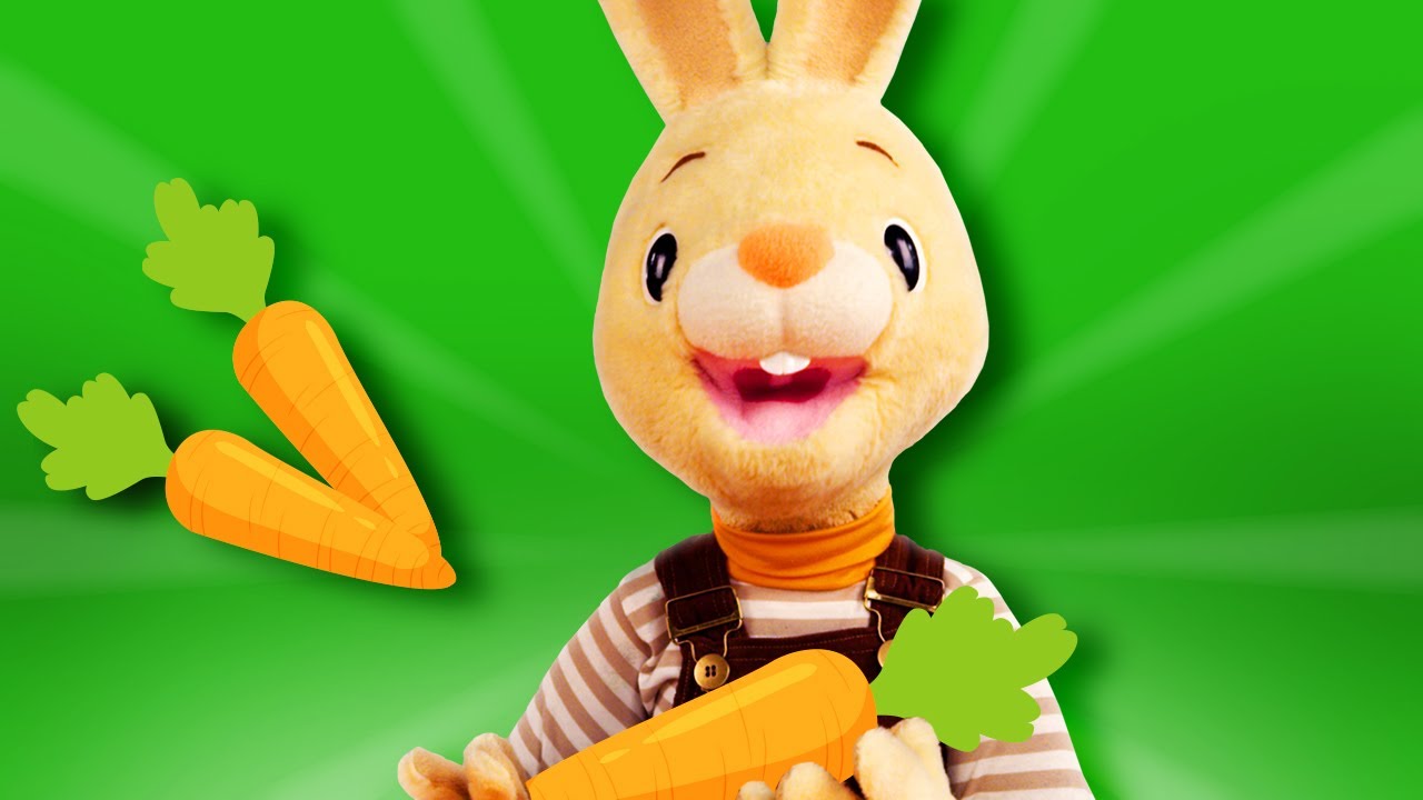Harry The Bunny - Early Learning Videos | Baby Shows | Dress Up & Wonder Box | Baby Sensory