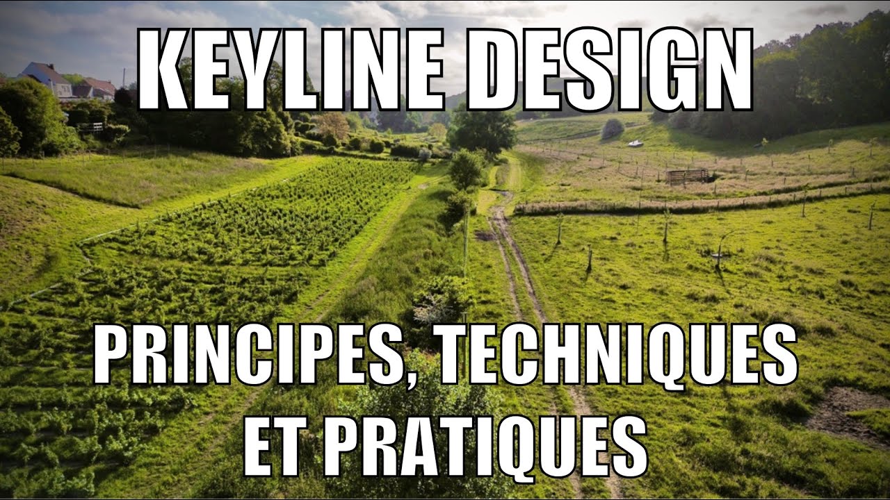 Keyline Design : découvrez nos exemples pratiques, théoriques et la réalité de terrain