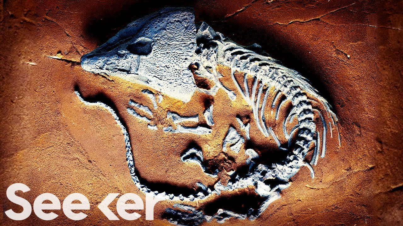 &lsquo;The Great Dying&rsquo; Was Our Worst Extinction Ever, And It Could Happen Again