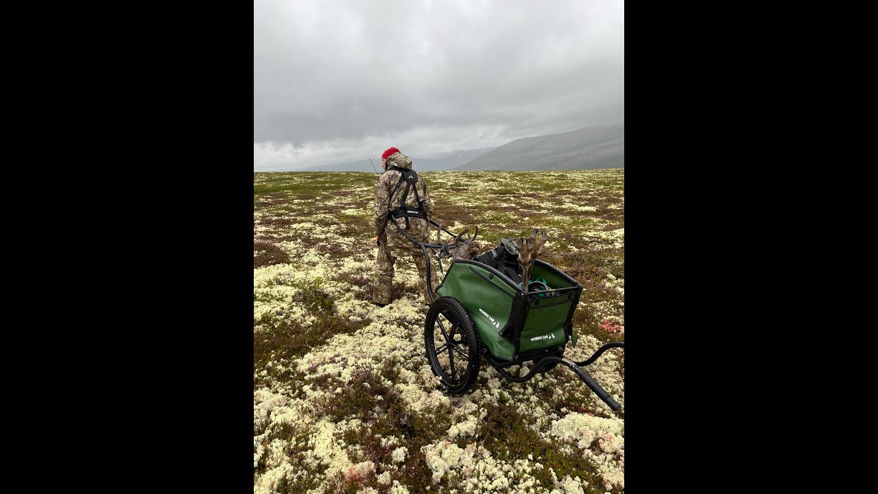 Jaktfeber.no tester vognen Hunter fra Nordic Cab