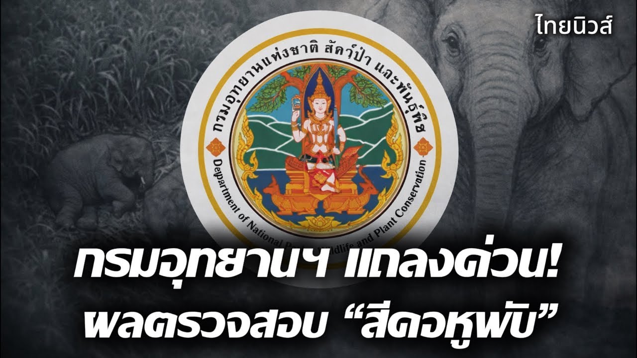 Live: “กรมอุทยานฯ“ แถลงข้อเท็จ หลังตรวจสอบกรณี ”สีดอหูพับ“