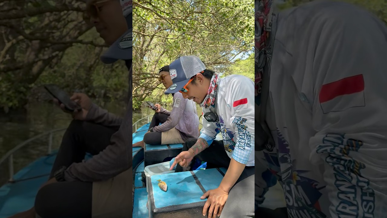 CARA MENDAPAKAT KOMPLOTAN IKAN🔥🔥‼️‼️