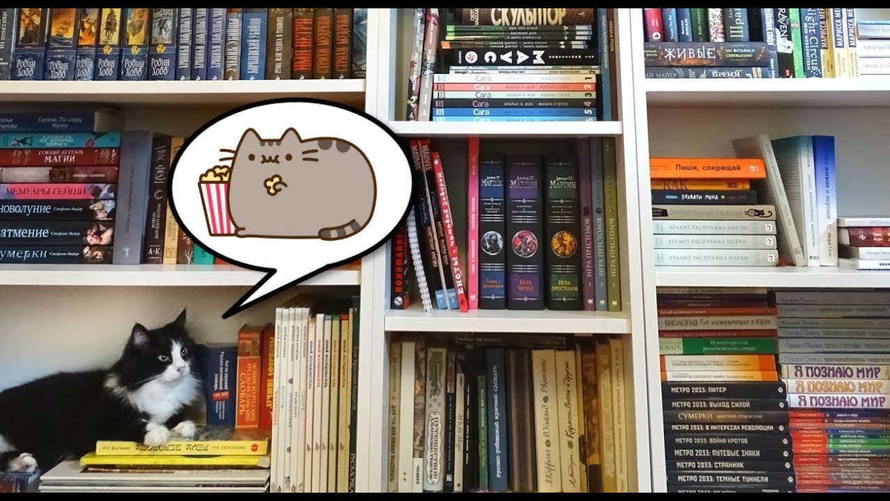 ТУР ПО КНИЖНЫМ ПОЛКАМ, ч. 2 | серединка + новый житель!