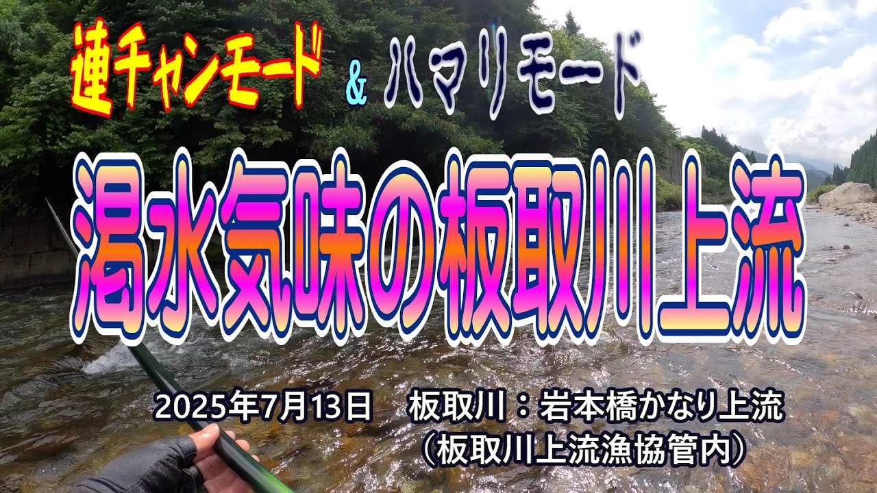 渇水気味の板取川上流