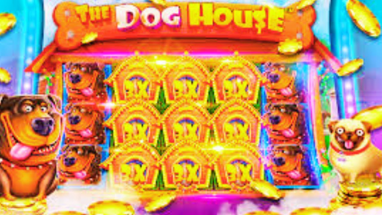 BIG WIN The Dog House Free Spin 🎰 Massive Jackpot on This Popular Slot! 💰🔥