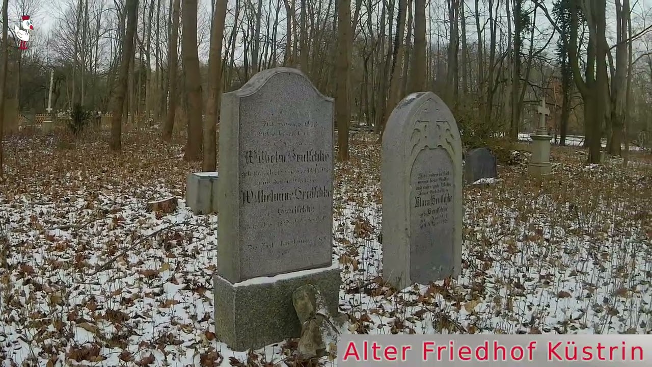 Urlaub Reitwein -Mi- Küstrin-Alter Friedhof  (2-2026)