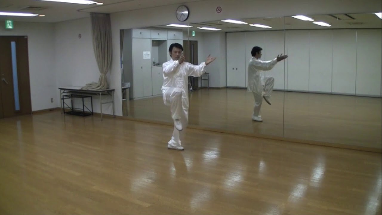 ４８式太極拳【鏡】背面右　48forms tai chi chuan