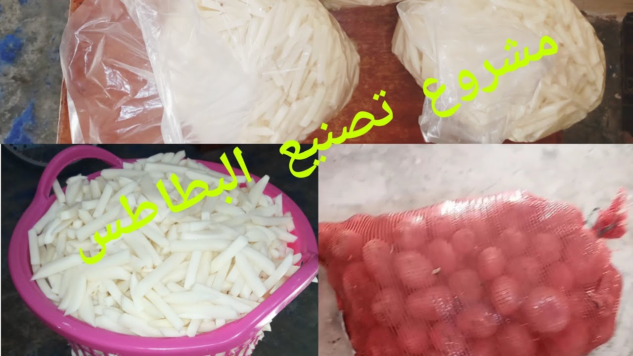 مشروع البطاطس المقلية 🤑🤑 جربتو اليوم أجيو تشوفو شحال ربحت