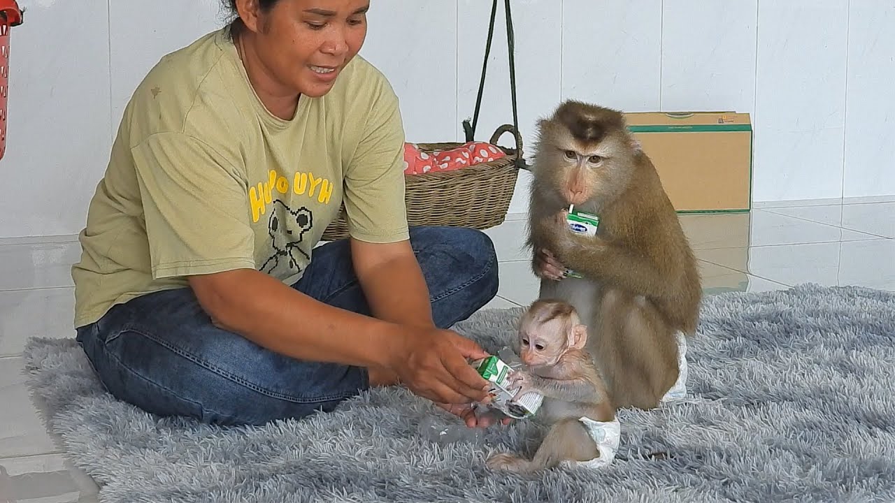 Smart Boy Luka With Mommy Luna Drinking Favorite Milk