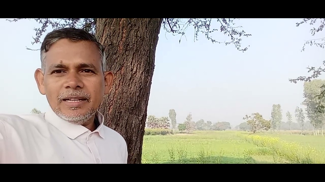 ( बबूल  ) का महत्व # Ayurvedic life Mau 