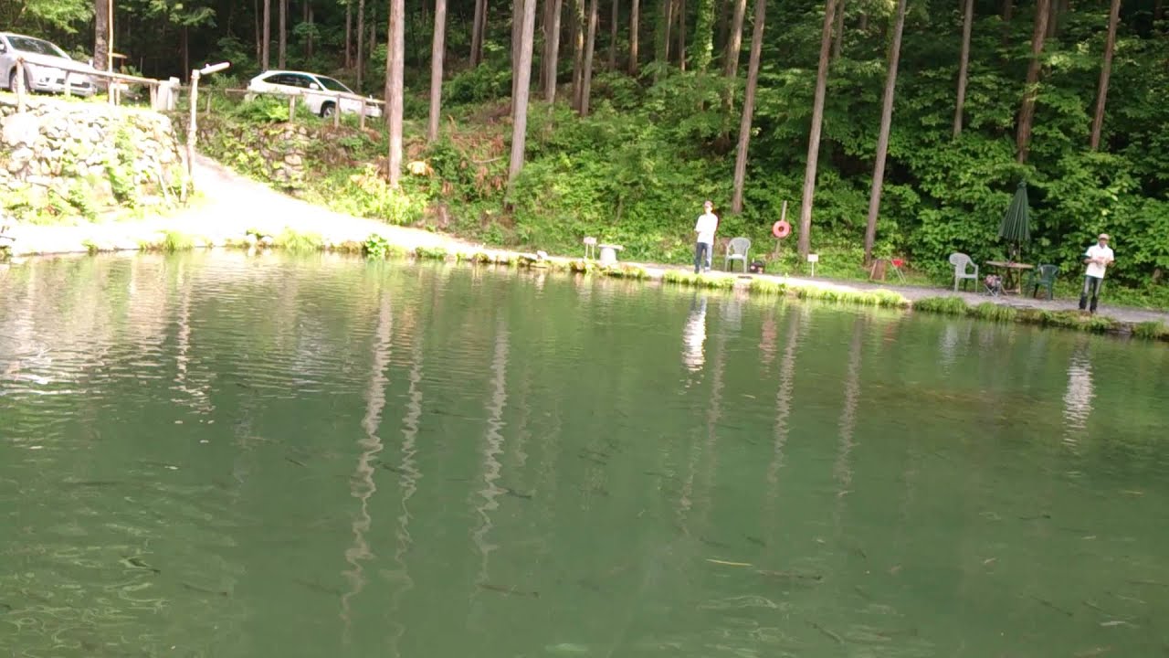 Minnowing 63/1