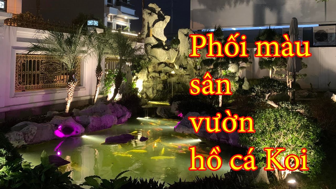 Lắp Đèn Âm Nước 12W Chiếu Sáng Cảnh Quan Sân Vườn Hồ Cá Koi