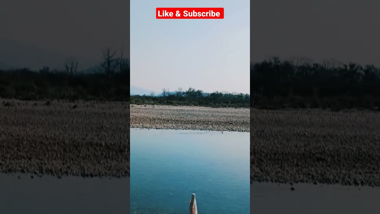 Haridwar today weather #shorts #shortsfeed #viralshorts #weather #weathernews #youtube #viral