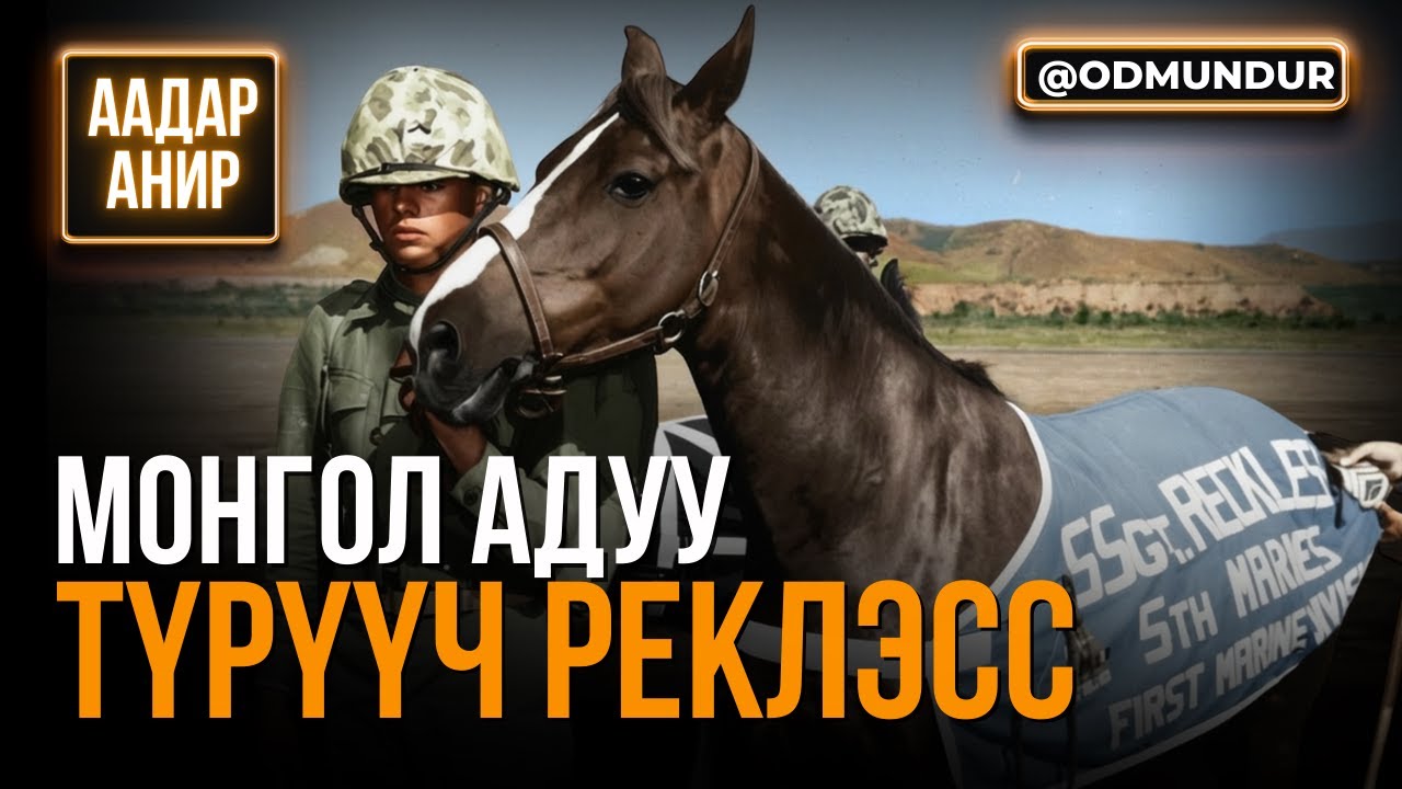 Монгол гүү ахлах түрүүч Рэклэсс - ААДАР АНИР