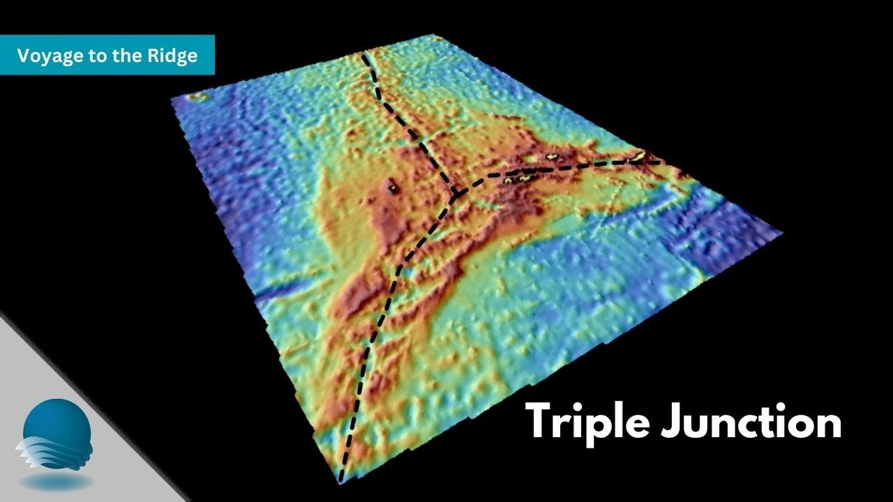Voyage to the Ridge: Triple Junction