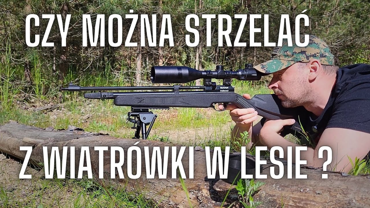 CZY MOŻNA STRZELAĆ Z WIATRÓWKI W LESIE?