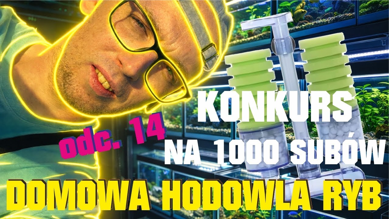 Domowa hodowla RYB odc.14 MAMY 1000 SUBÓW, Recenzja filtra gąbkowego z Chin!