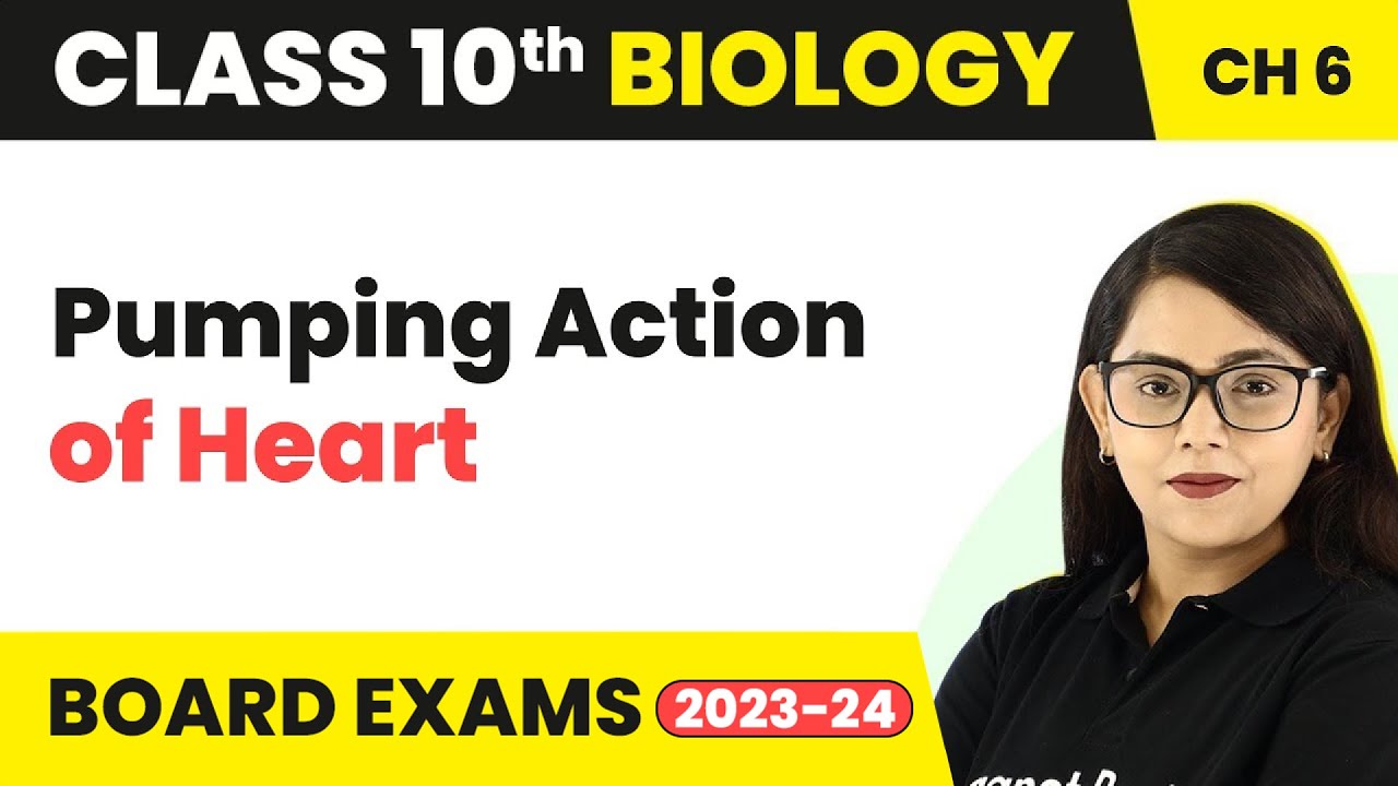 Pumping Action of Heart - Life Process | Class 10 Biology