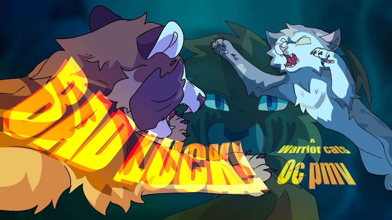 BAD LUCK!|| Warrior Cats|| PMV