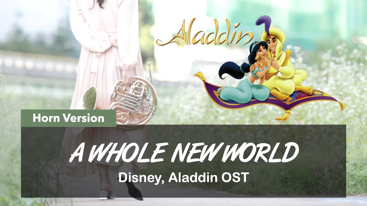 A Whole New World || Aladdin OST || 이게 바로 호른임(feat. Yeonjo OH) || Bassoon2%