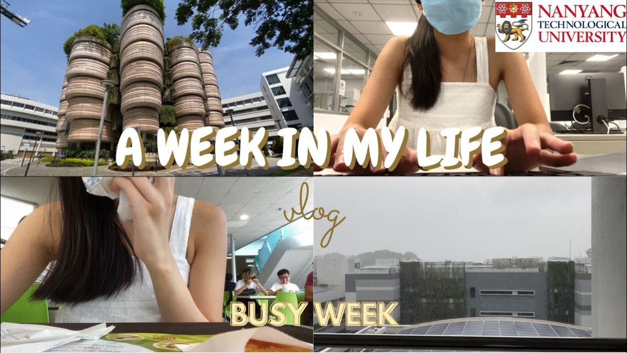 Realistic Uni Life in Singapore as a CS senior | Let's get productive together [Vlog # 7]