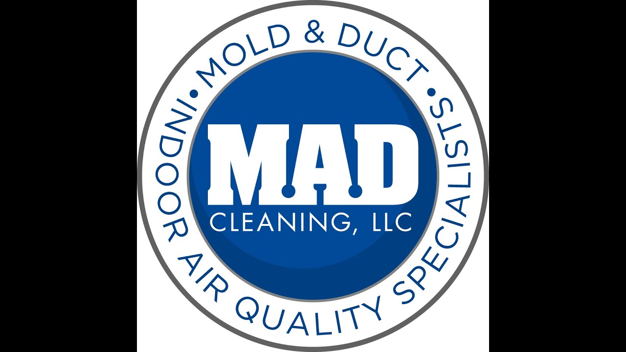 Black Mold Removal In Attic