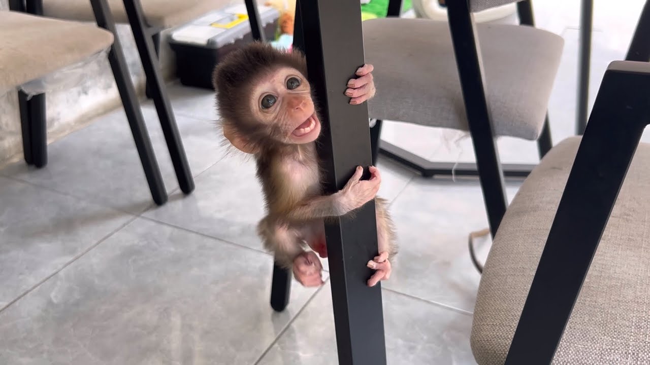 Coco❗️Help me, I want to get down❗️