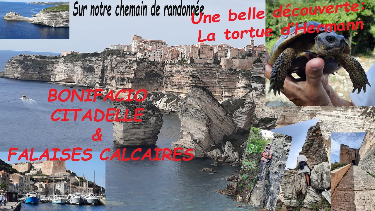 Voyage en Corse 11