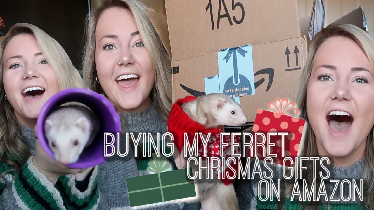 BUYING MY FERRET TOYS ON AMAZON (Ferret Toy Haul)