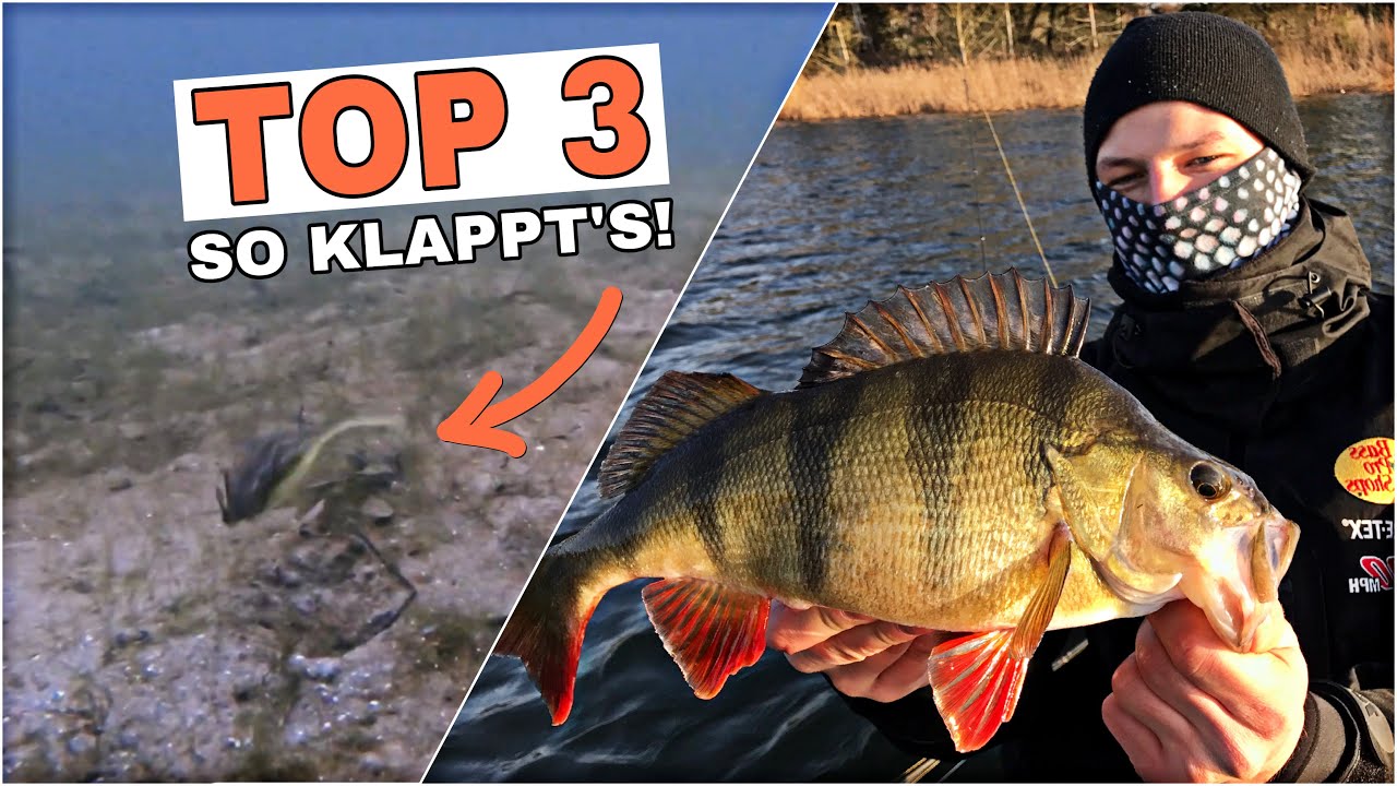 DICKE WINTERBARSCHE - TOP 3 Tipps! (K&ouml;der, Spots,Technik)