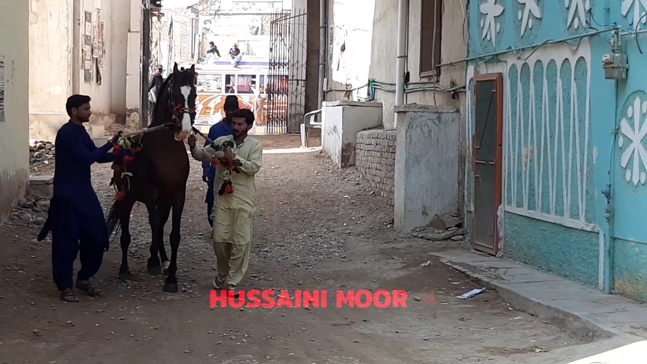 ZULJANA HUSSAINI MOOR || DARGHA SAEEN MUHAMMAD HASSAN SHAH || TANDO JAAM